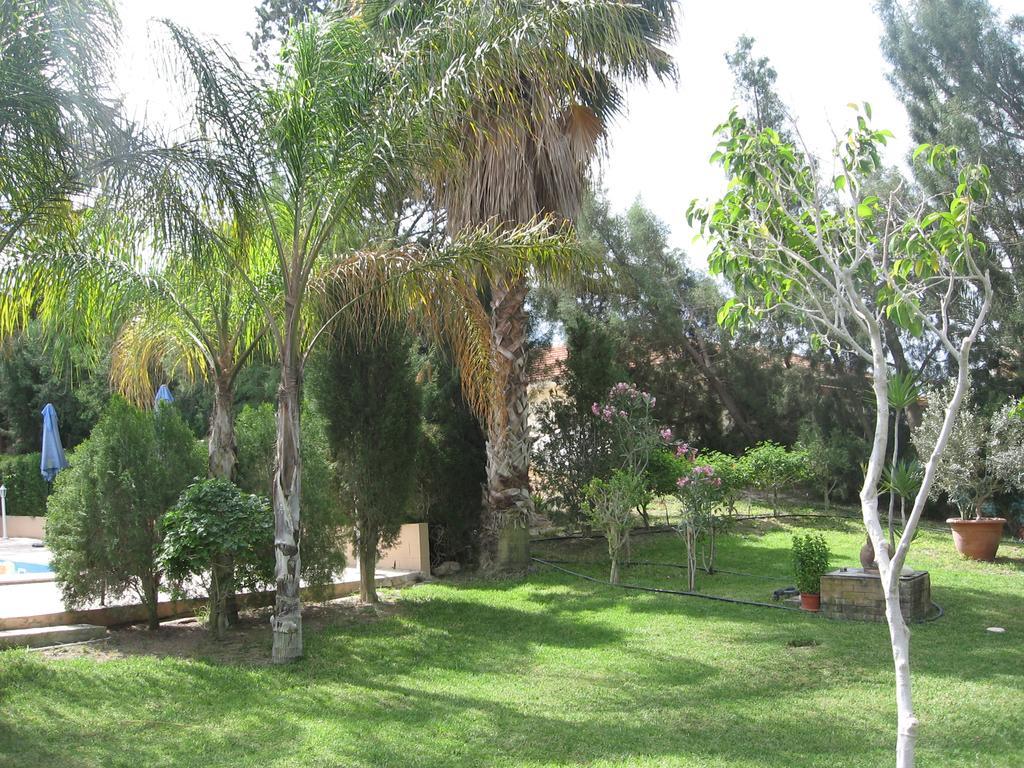 Zena Holiday Villa Pissouri Exterior foto