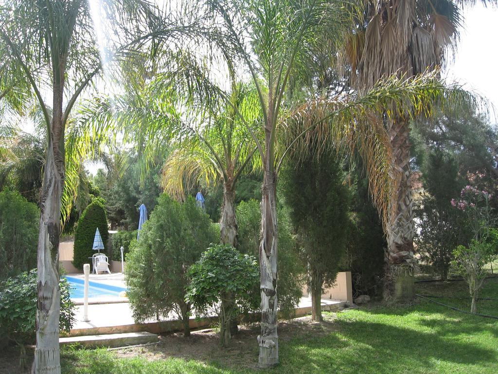 Zena Holiday Villa Pissouri Exterior foto